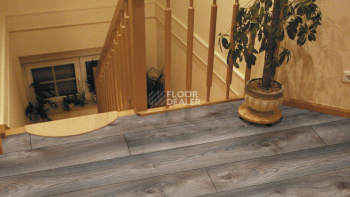 Kronotex Mammut d4792 Дуб Серый Макро фото 9 | FLOORDEALER