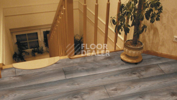 Kronotex Mammut d4792 Дуб Серый Макро фото 9 | FLOORDEALER