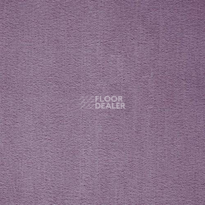 Ковролин Balta ITC Prominent 89 фото 1 | FLOORDEALER