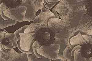 Ковролин Ege Highline Nature rf 52755468 фото  | FLOORDEALER