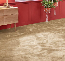 Vorwerk Superior 1067 Mira Vorwerk 8k08 фото 2 | FLOORDEALER