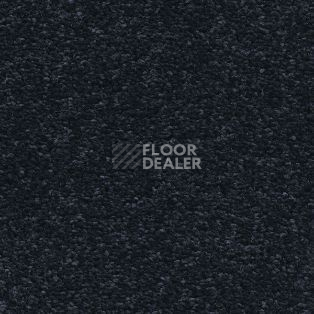 Ковролин AW Tresor 78 фото 1 | FLOORDEALER