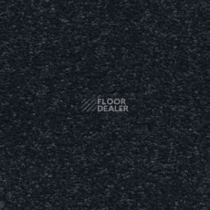 Ковролин AW Tresor 78 фото 1 | FLOORDEALER