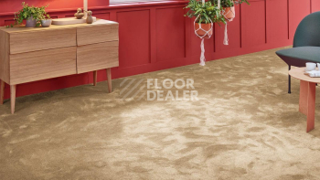 Vorwerk Superior 1067 Mira Vorwerk 8k08 фото 2 | FLOORDEALER