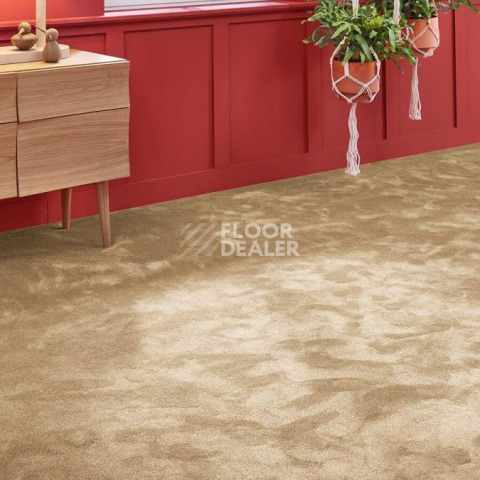 Vorwerk Superior 1067 Mira Vorwerk 8k08 фото 2 | FLOORDEALER