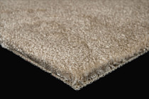 AW Passion AW Passion  36 фото 5 | FLOORDEALER