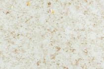 Линолеум Forbo Emerald Spectra 5531 фото 1 | FLOORDEALER