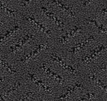 Ковролин Balsan Orangerie 960 фото 1 | FLOORDEALER