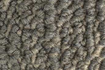 Desso Grain 9093 фото 3 | FLOORDEALER