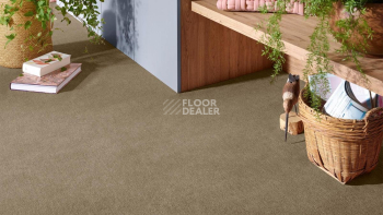 Vorwerk Superior 1072/Nutria Comfort Vorwerk 7g69 фото 2 | FLOORDEALER