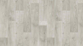 Линолеум Tarkett Stimul RIGARD_4 фото 1 | FLOORDEALER