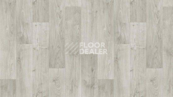 Линолеум Tarkett Stimul RIGARD_4 фото 1 | FLOORDEALER