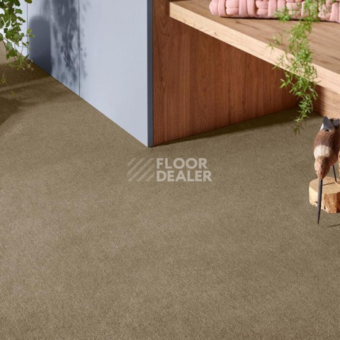 Vorwerk Superior 1072/Nutria Comfort Vorwerk 7g69 фото 2 | FLOORDEALER
