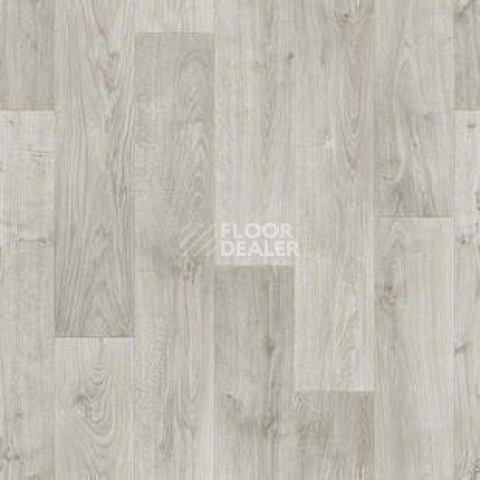 Линолеум Tarkett Stimul RIGARD_4 фото 1 | FLOORDEALER