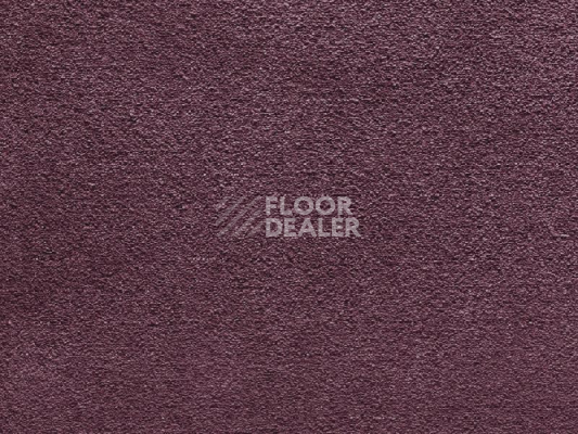 Ковролин Balta Wild Luxury Paddington 86 фото 1 | FLOORDEALER