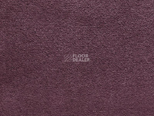 Ковролин Balta Wild Luxury Paddington 86 фото 1 | FLOORDEALER