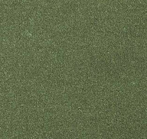 Ковролин AW Grand 24 фото 1 | FLOORDEALER