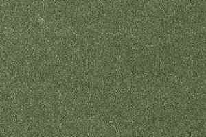 Ковролин AW Grand 24 фото  | FLOORDEALER