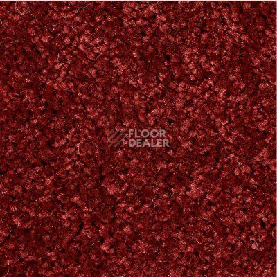 Ковролин Ideal Echo 445 фото 1 | FLOORDEALER