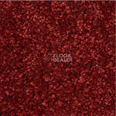 Ковролин Ideal Echo 445 фото 1 | FLOORDEALER