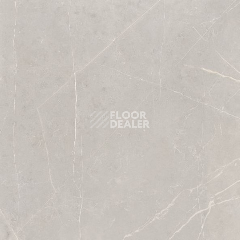 Nolana ( Нолана ) 60 x 60 x10 NL02 фото 5 | FLOORDEALER