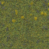 Ковролин Finett Vision Focus 605511 фото 1 | FLOORDEALER