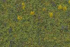 Ковролин Finett Vision Focus 605511 фото  | FLOORDEALER