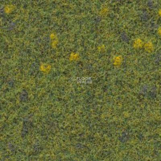 Finett Vision Focus 605511 фото 1 | FLOORDEALER