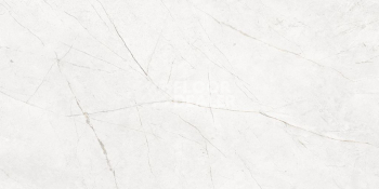 Nolana ( Нолана ) 60 x 120 x 10 NL00 фото 6 | FLOORDEALER