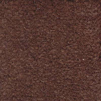 Ковролин Emphatic Beaulieu of America 56731 фото 1 | FLOORDEALER