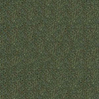 Ковролин Infloor Caprice 450 фото 1 | FLOORDEALER