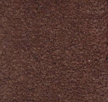 Ковролин Emphatic Beaulieu of America 56731 фото 1 | FLOORDEALER