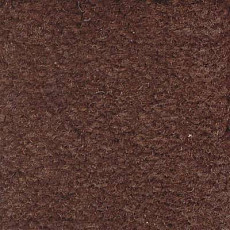 Ковролин Emphatic Beaulieu of America 56731 фото 1 | FLOORDEALER