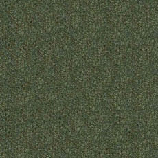 Ковролин Infloor Caprice 450 фото 1 | FLOORDEALER