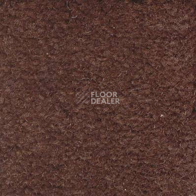 Ковролин Emphatic Beaulieu of America 56731 фото 1 | FLOORDEALER