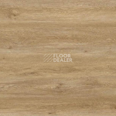 Кварцвиниловые полы Evofloor Life Click 4.2мм Дуб Борнео фото 1 | FLOORDEALER