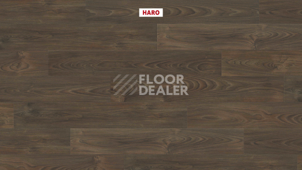 Ламинат Haro Tritty 200 Aqua 4V Акация Варио 544787 фото 2 | FLOORDEALER