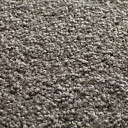 Ковролин Jacaranda Carpets Tapanui Shadow  | FLOORDEALER