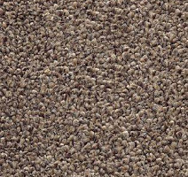 Ковролин AW Perseus 42 фото 1 | FLOORDEALER