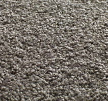 Ковролин Jacaranda Carpets Tapanui Shadow фото 1 | FLOORDEALER