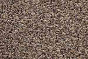 Ковролин AW Perseus 42 фото  | FLOORDEALER