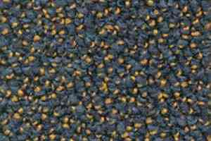 Ковролин Dura Level Two 595 фото  | FLOORDEALER