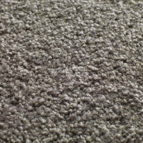 Ковролин Jacaranda Carpets Tapanui Shadow фото 1 | FLOORDEALER