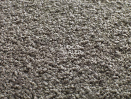 Ковролин Jacaranda Carpets Tapanui Shadow фото 1 | FLOORDEALER