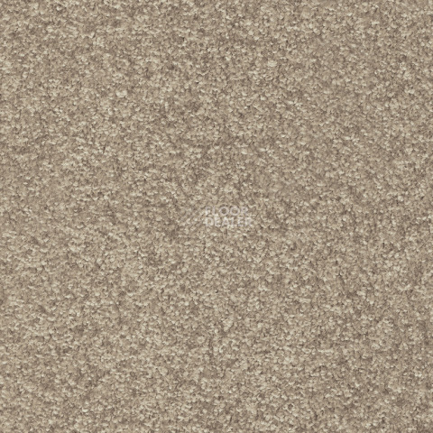 Ковролин  35 фото 1 | FLOORDEALER