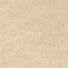 Ковролин Creatuft Sheba 1184 Rice Powder 4 + 5m фото 1 | FLOORDEALER