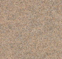 Ковролин Forbo Forte 96003 Sand фото 1 | FLOORDEALER