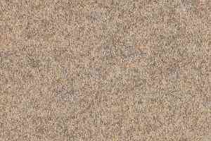 Ковролин Forbo Forte 96003 Sand фото  | FLOORDEALER