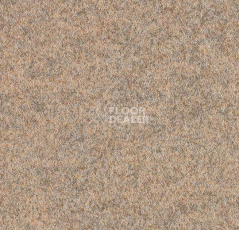 Ковролин Forbo Forte 96003 Sand фото 1 | FLOORDEALER