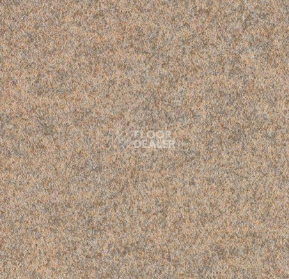 Ковролин Forbo Forte 96003 Sand фото 1 | FLOORDEALER